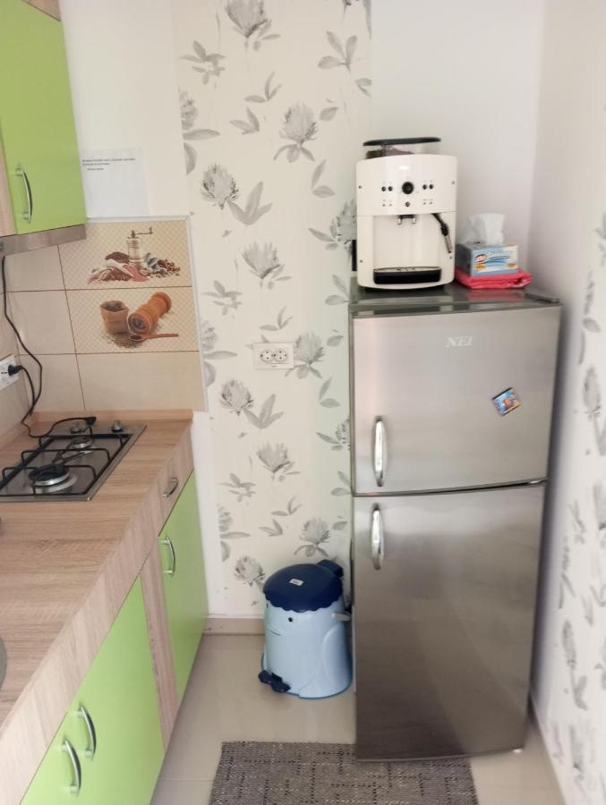 Dorna Cindrenilor Casuta Bunicilor 빌라 외부 사진